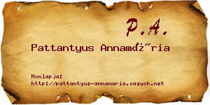 Pattantyus Annamária névjegykártya